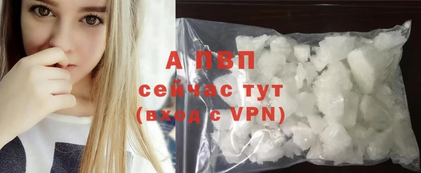 прущие грибы Туринск