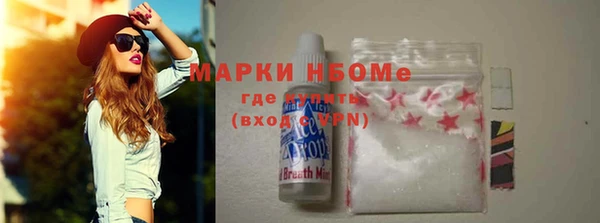 стафф Елизово