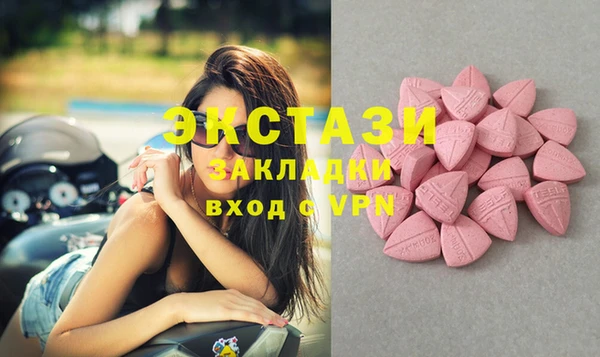 стафф Елизово