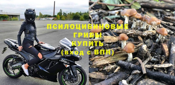стафф Елизово