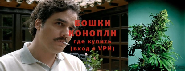 стафф Елизово